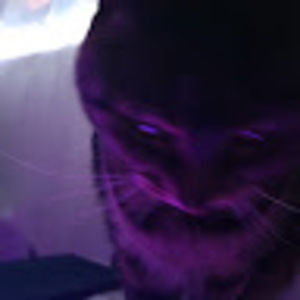 Meet your Posher, Judy